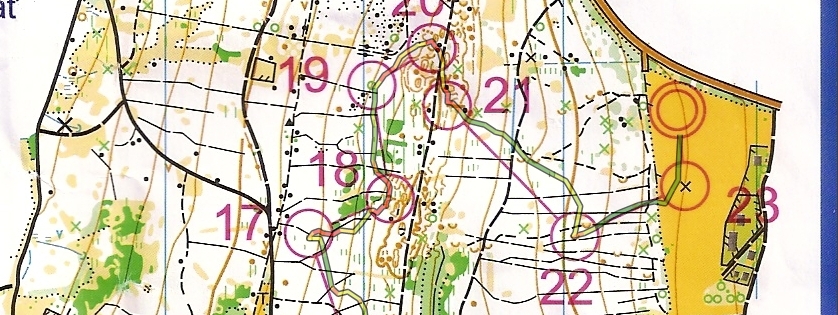 Middle distance (May 29th)
