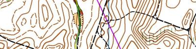 5º Ori-Júnior - Marinha Grande - Chasing Start Noc