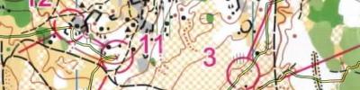 Campeonatos de Espanha de Orientação