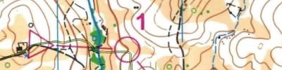 Campeonato Nacional Absoluto de Orientação